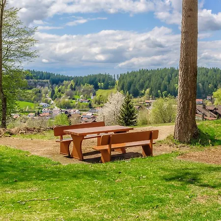 Englmar With Free Wellness And Fitness Sankt Englmar