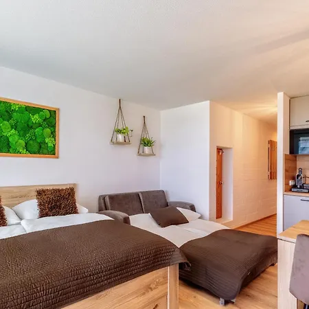 Englmar With Free Wellness And Fitness Apartment