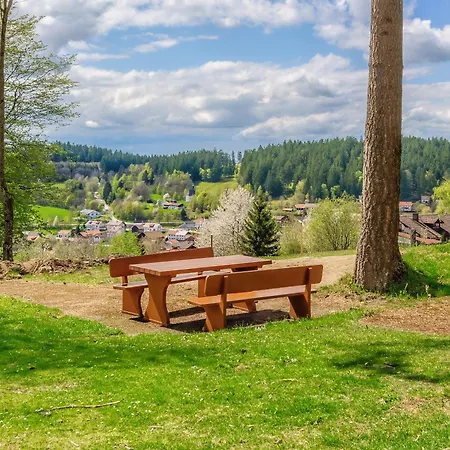 Englmar With Free Wellness And Fitness Sankt Englmar